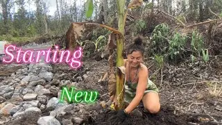 Starting Her Journey Towards an Eco-Future/ Hawaii