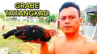 ANG TATANGKAD 