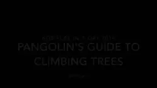 Play in a Day, Sketch 3: Pangolin's Guide to Climbing Trees