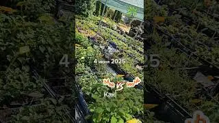 Смотрите, как преображается жизнь всего за 30 дней!