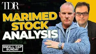 MariMed (OTCQX: MRMD, CSE: MRMD) Fundamental Stock Analysis | Small Cap Podcast