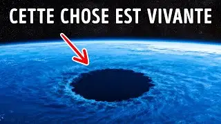 Les Biologistes Marins Viennent de Découvrir Quelque Chose de Proprement Incroyable