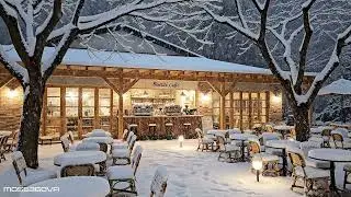 Snowy City Park Cafe ❄️ Deep Focus & Relaxation | 60 Min 4K UHD Static Loop