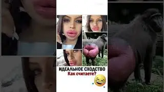 Сходство эсть да 🤭 #юмор #прикол #shortvideo #смех #мем #shortsvideo