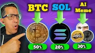 The Best Crypto Wallet Strategy 2025 . #btc 50% #sol 20% #aimemecoins 30%