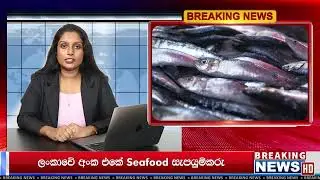 Breaking News Ad | Digital Marketing | Video Ads | Creative Solutions by Excite Media