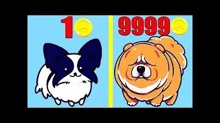 MAX LEVEL DOG!!!!MERGE DOGS EVOLUTION!!!!MAX ALL!!!!ALL DOGS!!!!
