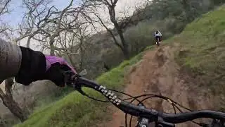 Middle Trail Limeridge 