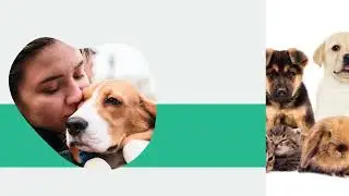 Pet-Friendly Rentals: The New Trend in Beach Houses