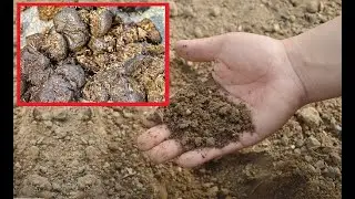 D&uuml;ngen mit Pferdemist / D&uuml;nger herstellen / Wann / Wie / Menge / Welche Pflanzen