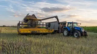 Żniwa rzepaku o zachodzie słońca z New Holland'em CX6.80