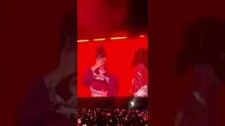 something got in jennie and Lisa's eye #lisa #jennie #blackpink #shorts #jakarta #killthislove