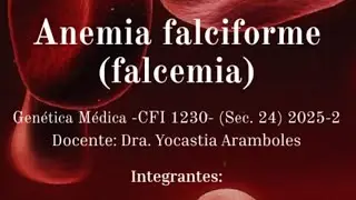 Anemia falciforme: Importancia en la detecci&oacute;n de portadores