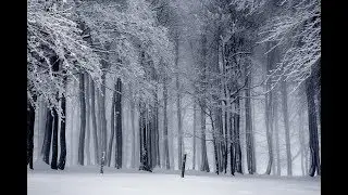 Can Exercising In The Cold Freeze Your Lungs?