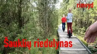 Pažintinis gamtos takas Šauklių riedulyne