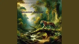 Amazon Jaguar 2