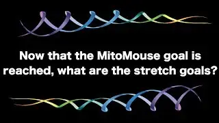 What are the MitoSENS MitoMouse Project Stretch Goals? | Lifespan.io Crowdfunding Campaign