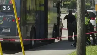Greenacres man, 34, hit and killed by Palm Tran bus