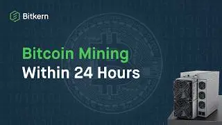 We will host your bitcoin miners in just 24 hours starting from 4.5&cent; per kWh!