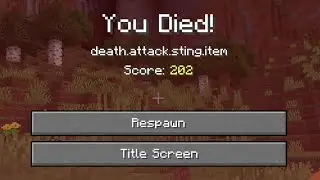 Minecraft's Secret Death Message! (1.17)