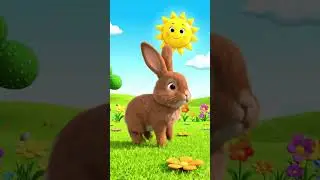 Twinkle Little Bunny | Cute Kids Rhymes Song | Fun Baby Cartoon Music 🐰✨