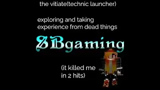 SB gaming.  the vitiate on the technic launcher