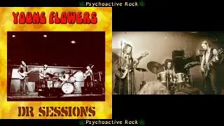 What Went Wrong - Young Flowers - Denmark - 1968 - 1970