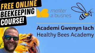 Healthy Bee Academy. Free Online Course