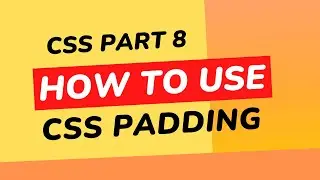 CSS Padding Tutorial: Bangla