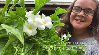 Plant Haul! Houston Garden Center&rsquo;s 50% Off Sale 🙌 Southeast Texas Gardening