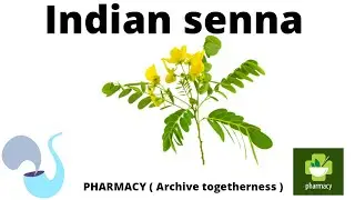 Cassia angustifolia (Senna), indian senna , plant containing anthraquione glycosides explain detail