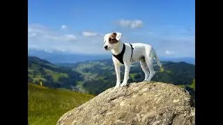 Wanderung zum H&ouml;rnli