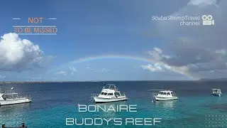 BEST BONAIRE Scuba Diving 2025 | BUDDY'S REEF