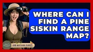 Where Can I Find A Pine Siskin Range Map? - Bird Watching Diaries