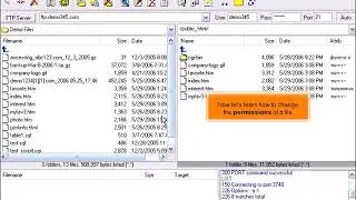 Managing files in LeapFTP