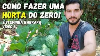 COMO FAZER UMA HORTA DO ZERO! ALIMENTA&Ccedil;&Atilde;O ORG&Acirc;NICA E SAUD&Aacute;VEL EM CASA (SISTEMINHA EMBRAPA)