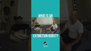 What is an 'Extinction Burst'? Life With Your Dog Podcast