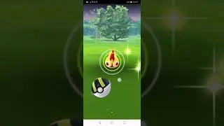 First try falinks. ultra unlock week 3. Pokemon Go #shorts