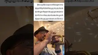 Hamburg ist ein schoenes Staedtchen #trumpet #livemusic #performance #fun #project #germanband