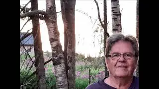 Every grain of sand, music and lyrics by Bob Dylan.  Sung by Sture Ahnlund