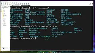 ARCC Orientation 04: Datasets and Examples