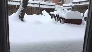 #Snowzilla in 41 Seconds From Fairfax, Va.