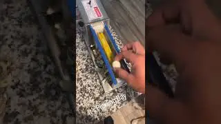 Quail Egg Peeler off Amazon for the win! Best method yet.