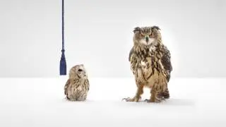 WGU Indiana College of Health Professions Commercial