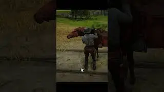 Rescue horses in Red Dead Redemption 2
