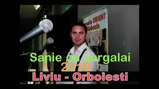 Sanie cu zurgalai hora originala-Liviu de la Orboiesti live 2010
