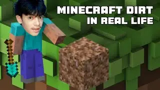 I Remove the Dirt in my House (Real Life Minecraft)