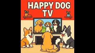DOG TV for Separation Anxiety: 8 Hours of Playful Pups to Keep Your Dog Company!