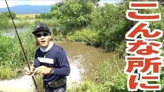 多量の排水の中にこんなデカいやつが!?