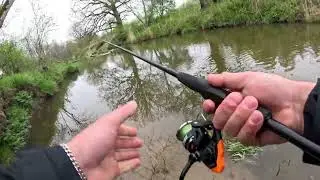 northern pike bite